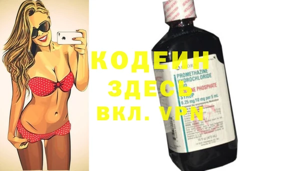 индика Алексин