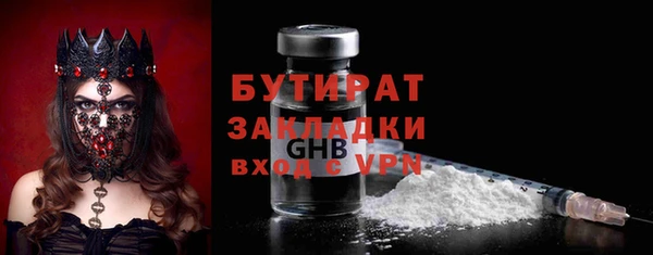 индика Алексин