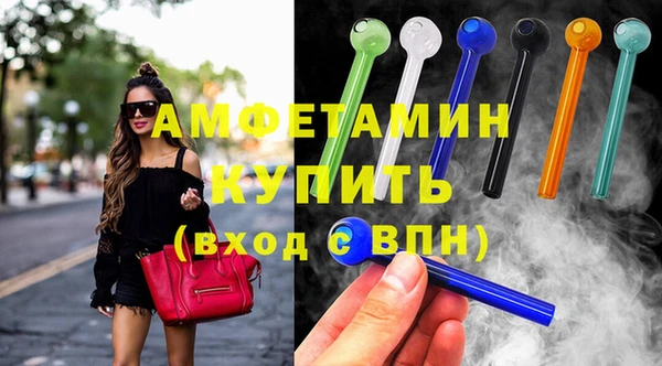 индика Алексин