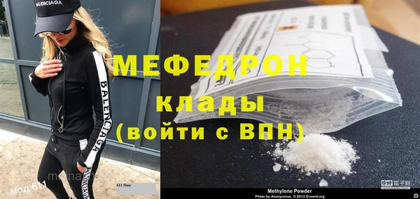 индика Алексин
