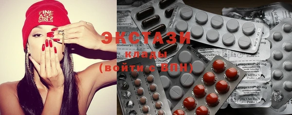 индика Алексин