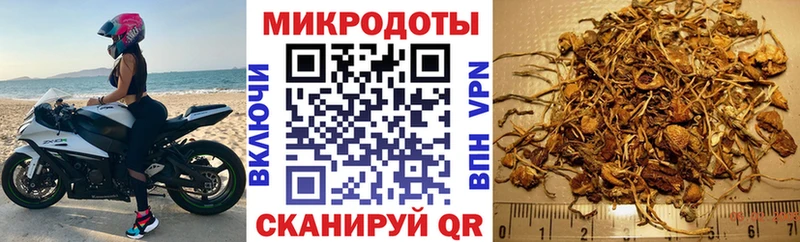 Псилоцибиновые грибы Psilocybine cubensis МЕГА зеркало Навашино